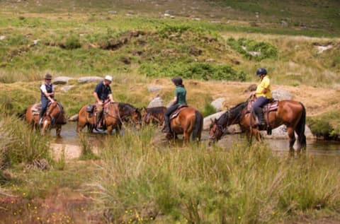Inghilterra: il parco nazionale di dartmoor