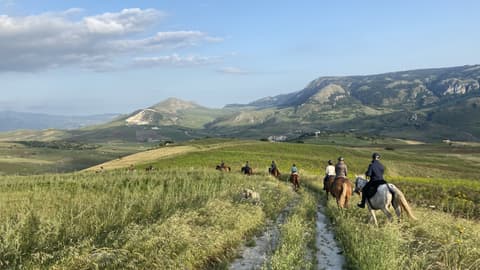 Italy: Sicilia - la rotta del vino