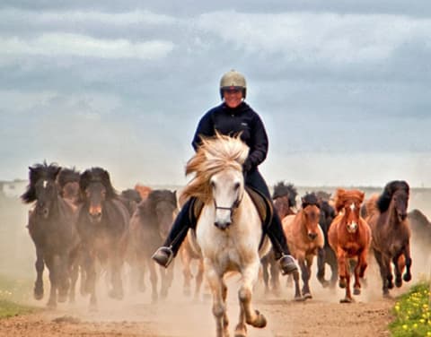 Iceland: Iceland glaciers
