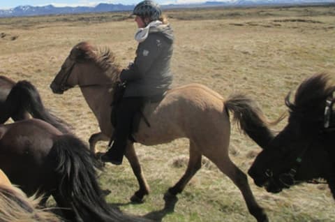 Iceland: Iceland glaciers