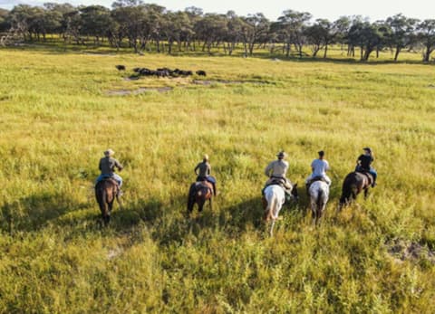 Hwange national park