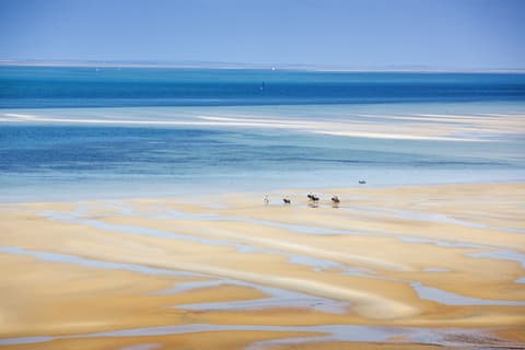 Mozambico: Paradiso inesplorato