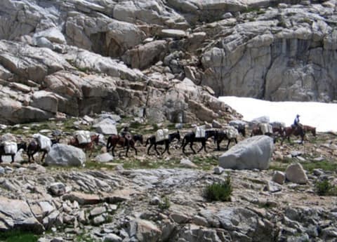 United States: California - Yosemite park expedition