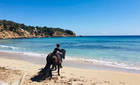 Spagna: Ibiza - la “isola bianca” tra yoga & cavalli