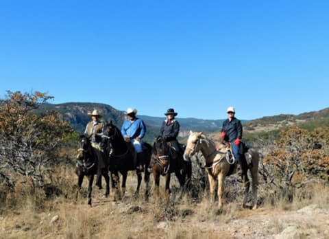 Messico centrale: alla scoperta dei pueblos coloniali​