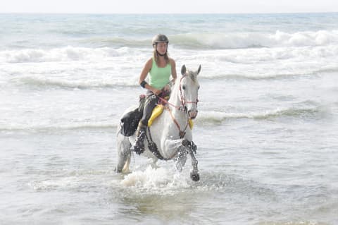 Spagna: Andalusia - Sulle spiagge di Tarifa