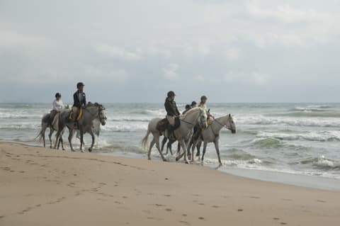 Spagna: Andalusia - Sulle spiagge di Tarifa
