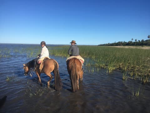 Uruguay: The wild lands of the criollos