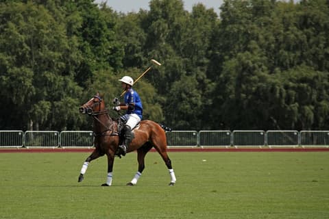 Cordoba/mendoza: scoprire il polo