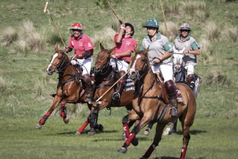 Cordoba/mendoza: scoprire il polo