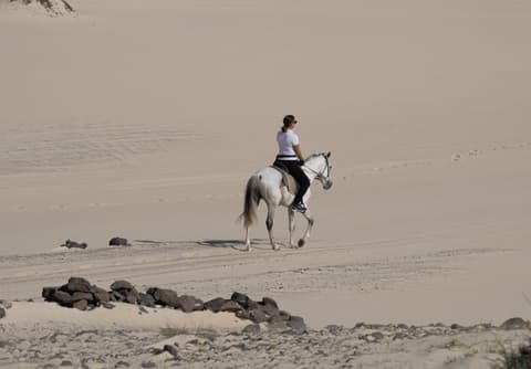 Boa vista: la selvaggia isola di boa vista
