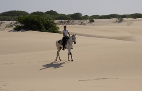 Boa vista: la selvaggia isola di boa vista