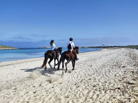 Formentera: the “isla bonita” between yoga & horses
