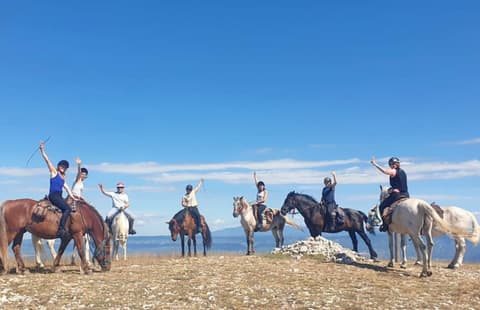 France: Provence - summer scents of provence