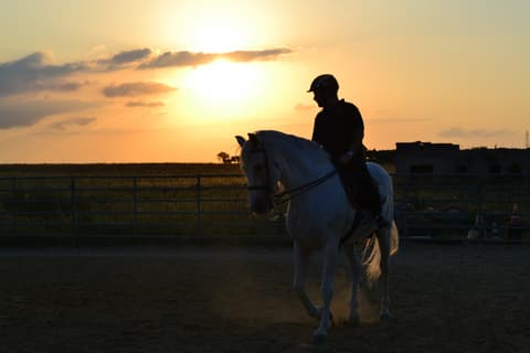 Italy - Basilicata: the stones of matera and the murgia materana park
