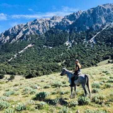 Italia - Sicilia: il parco naturale delle madonie