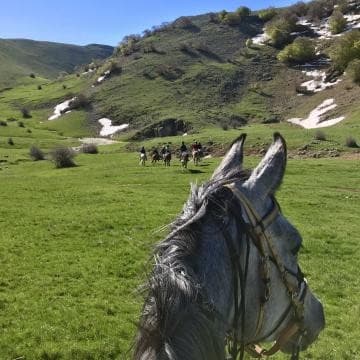 Italia - Sicilia: il parco naturale delle madonie
