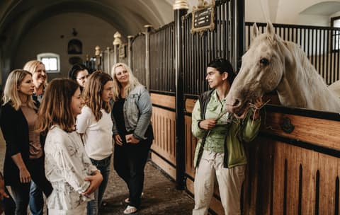 Slovenia: equestrian stay & dressage in lipica