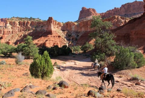 United States -Utah: the Capitol Reef national park