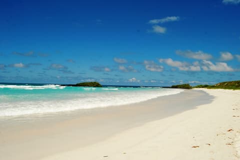 Galapagos Inter Islas Isabela y Santa Cruz 1 Navegacione - 5 Días