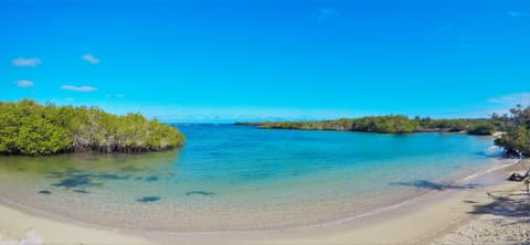 Galapagos Inter Islas Santa Cruz 2 Navegaciones - 5 Días