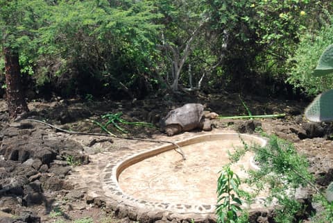 Galapagos Inter Islas Santa Cruz 1 Navegacione - 5 Días