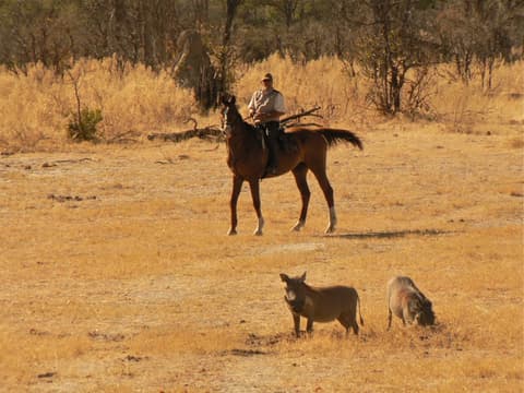 La regione del Limpopo: Sudafrica & Botswana