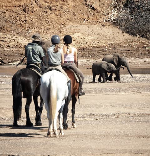 La regione del Limpopo: Sudafrica & Botswana