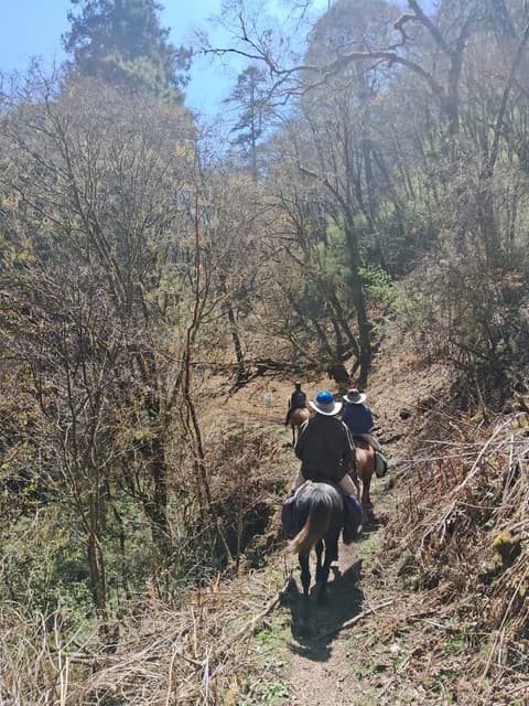 La cavalcata di Bumthang