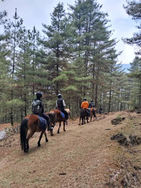 Gangtey, Valle glaciale