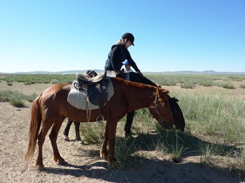 The steppe of Gobi Desert
