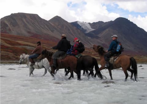 The steppe of Gobi Desert