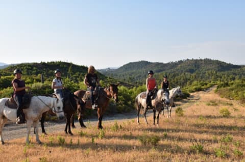 Rodi, isola del sole