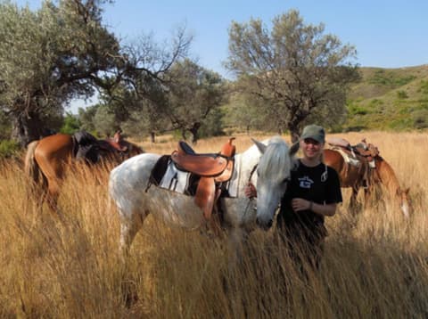 Rodi, isola del sole