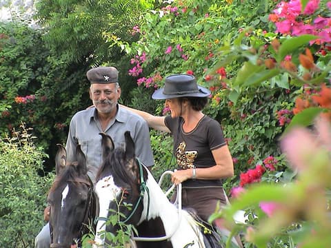 Pushkar fair and horse safari in Rajasthan