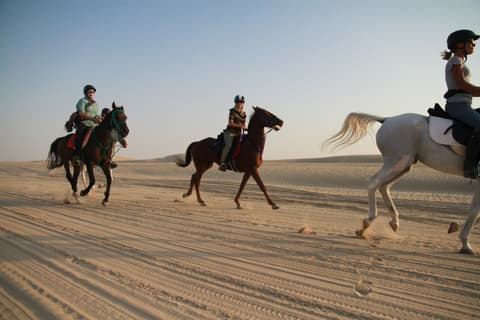 Abu Dabhi, la capitale