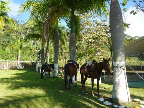 Cammino Reale: da Bogotà a Barichara