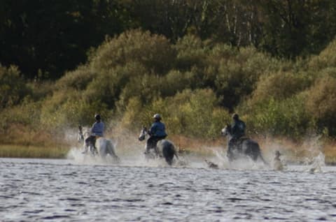 Connemara: in sella tra i monti Slieve Aughty