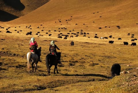 Discovering western Sichuan