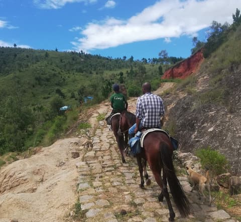 Tour del sud e Nosy Be
