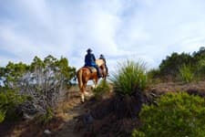 Texas: Equestrian stay at a horse ranch in the land of horses