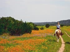 Texas: Equestrian stay at a horse ranch in the land of horses