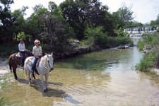 Texas: Equestrian stay at a horse ranch in the land of horses