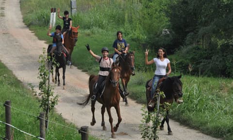 Piemonte: Horses and wine in Monferrato area