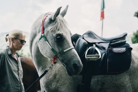 Lombardy: Como lake, Italian icon