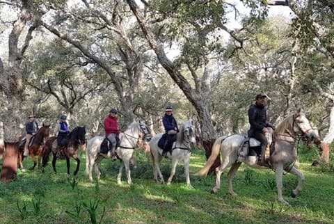 Andalusia: culture and legends