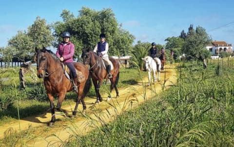 Andalusia: piste andaluse