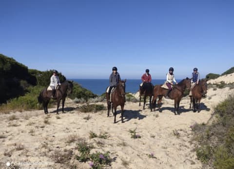 Andalusia: piste andaluse