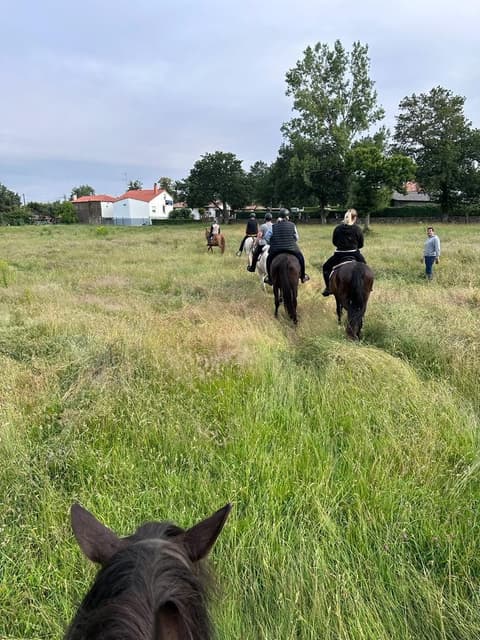 Galicia: Pilgrimage Route to Santiago - French Route
