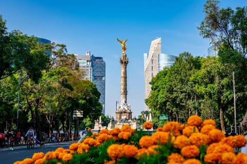 Día de Muertos Ciudad de México - Salida Especial
